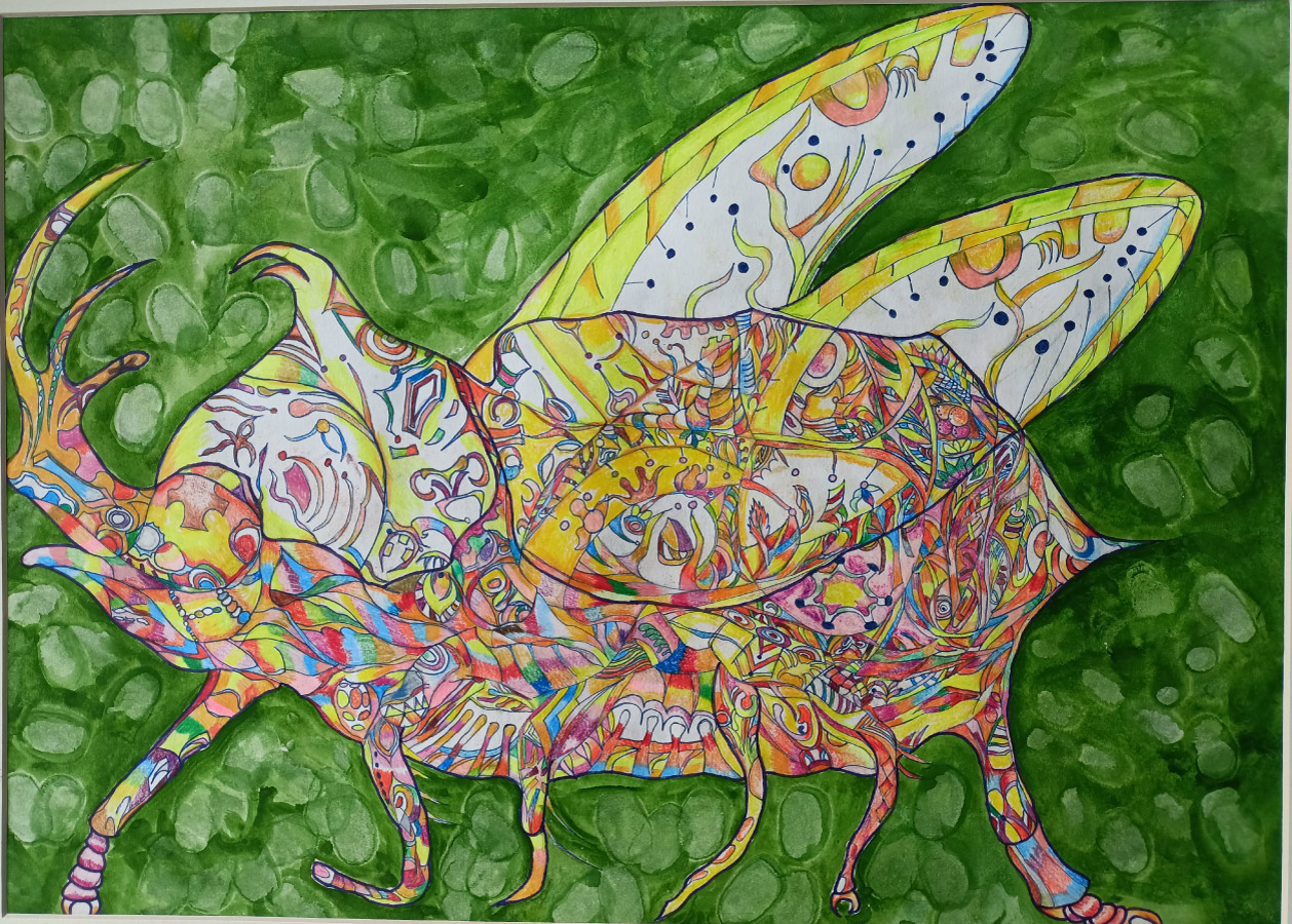 微風運河獨角仙